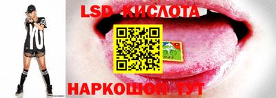 молекула духа Кулебаки