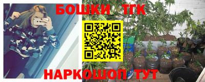 крисы Кунгур