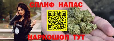 крисы Кунгур