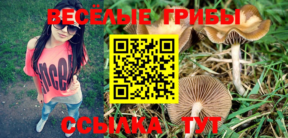 купить наркотики цена  Галлюциногенные грибы Cubensis  Вход с VPN  Ялуторовск 