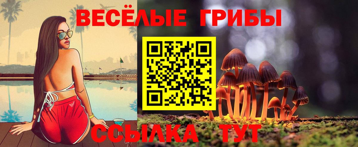 Псилоцибиновые грибы мицелий Ялуторовск